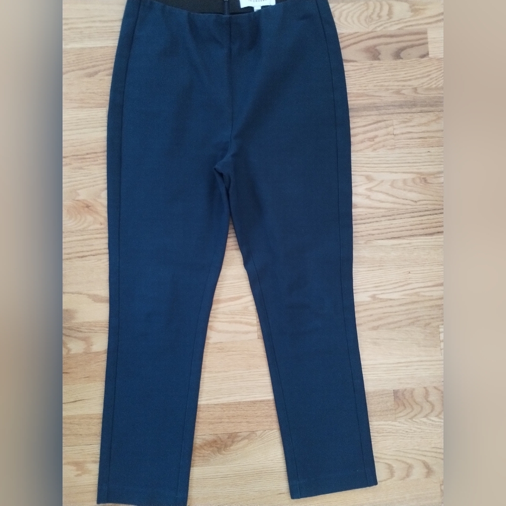 10 Crosby Derek Lam Dark Blue Trousers 10